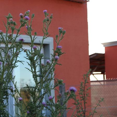 La Narcisa Villa Pehuajó Eksteriør bilde