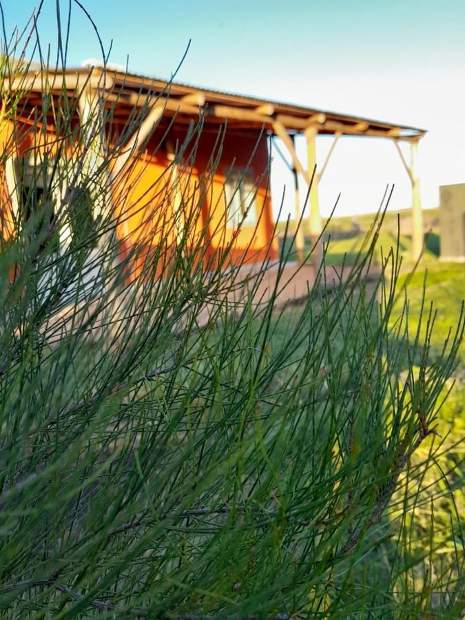 La Narcisa Villa Pehuajó Eksteriør bilde