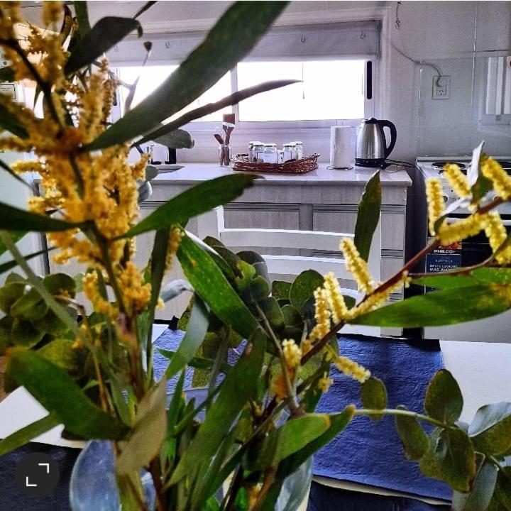 La Narcisa Villa Pehuajó Eksteriør bilde