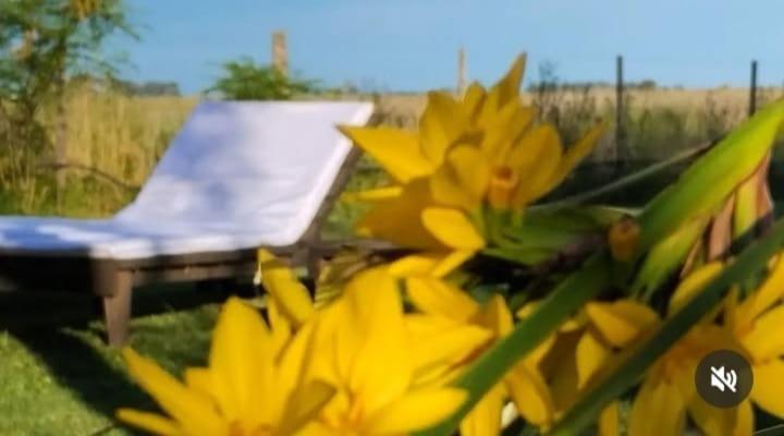 La Narcisa Villa Pehuajó Eksteriør bilde