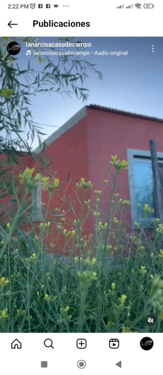 La Narcisa Villa Pehuajó Eksteriør bilde